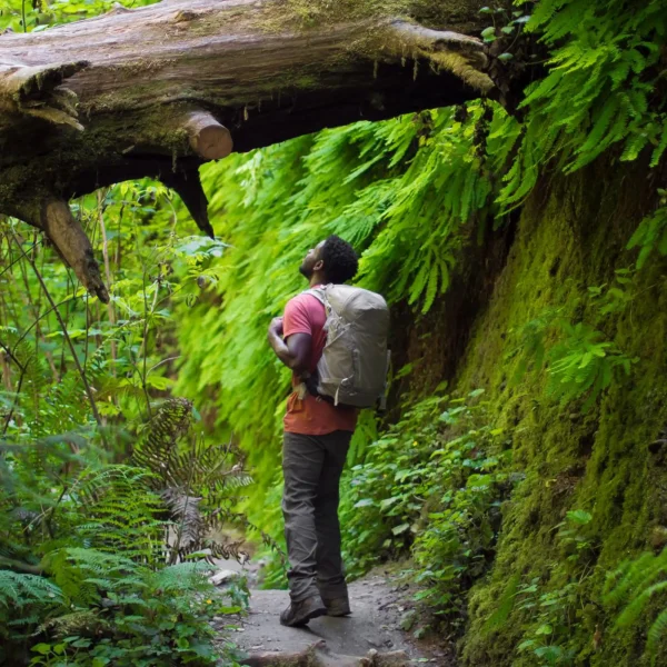 Osprey Hikelite - lightweight, sustainable rucksack for everyday use with mesh back