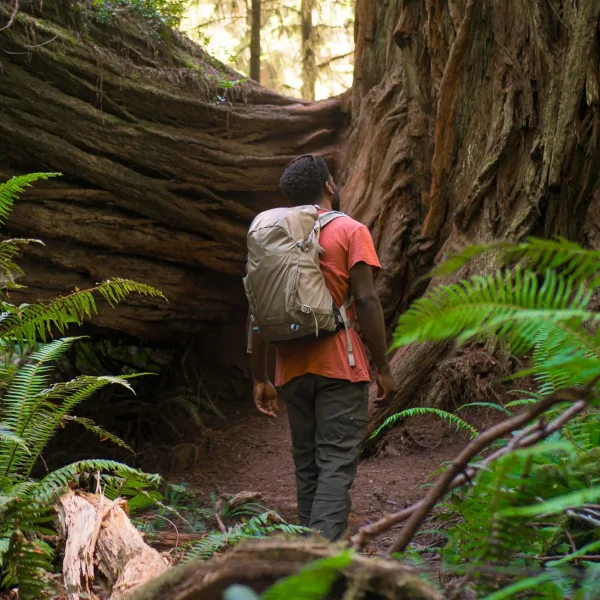Osprey Hikelite - lightweight, sustainable rucksack for everyday use with mesh back