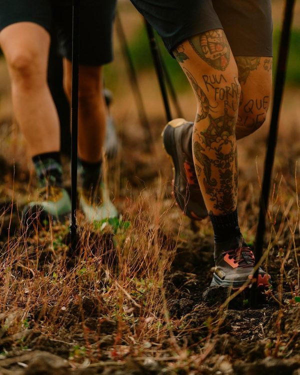 Sapato de caminhada e trail running La Sportiva Prodigio Hike GTX impermeável com membrana Gore-Tex e sola FriXion XT Red