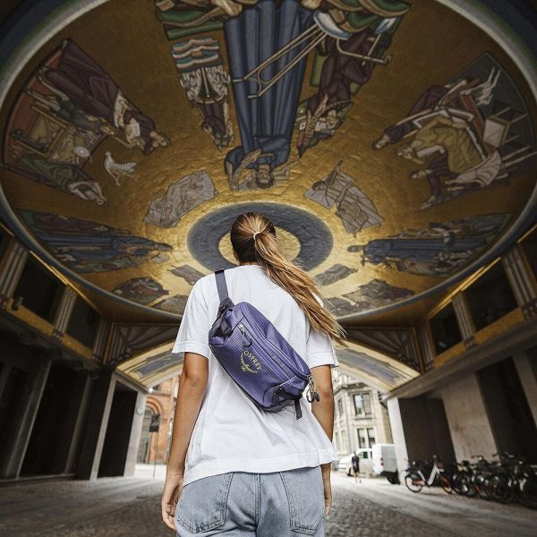 Osprey Transporter Waist Pack bolsa de cintura resistente e impermeável com organização para viagens e atividades outdoor.