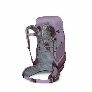 Mochila de caminhada feminina Osprey Sirrus 36 com sistema AirSpeed, 36 litros, ventilação em malha e capa de chuva integrada
